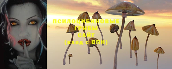 гидропоника Ступино