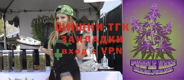 apvp Верея
